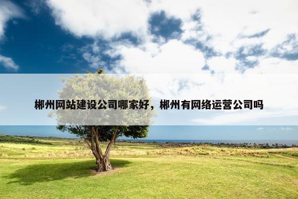 郴州网站建设公司哪家好，郴州有网络运营公司吗