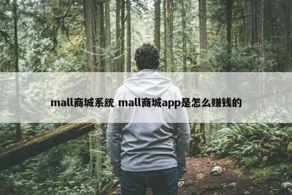 mall商城系统 mall商城app是怎么赚钱的