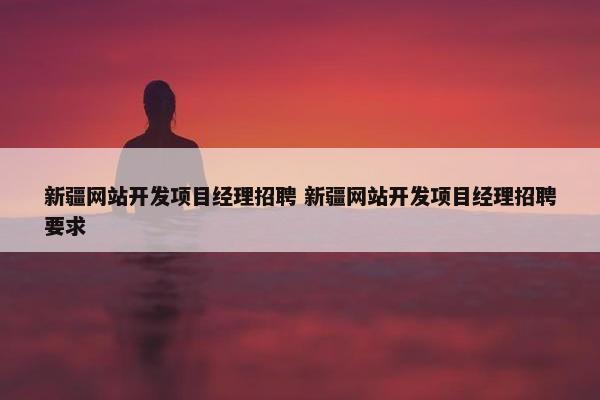 新疆网站开发项目经理招聘 新疆网站开发项目经理招聘要求