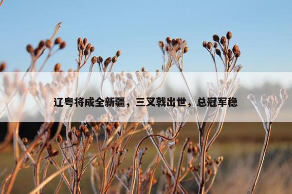 辽粤将成全新疆，三叉戟出世，总冠军稳