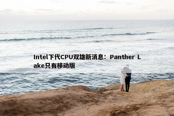 Intel下代CPU双雄新消息：Panther Lake只有移动版