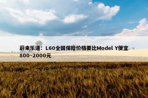 蔚来乐道：L60全国保险价格要比Model Y便宜800~2000元