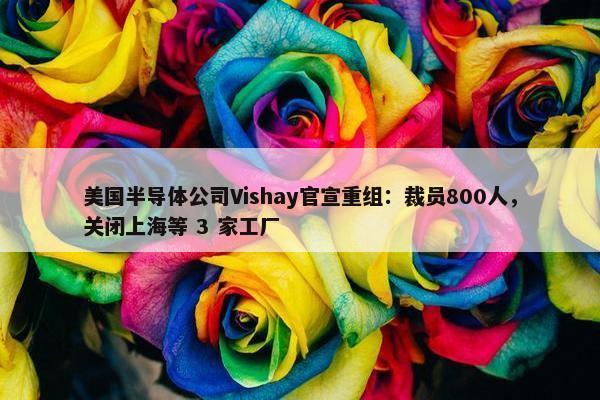 美国半导体公司Vishay官宣重组：裁员800人，关闭上海等 3 家工厂