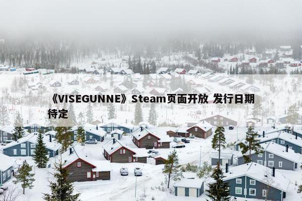 《VISEGUNNE》Steam页面开放 发行日期待定