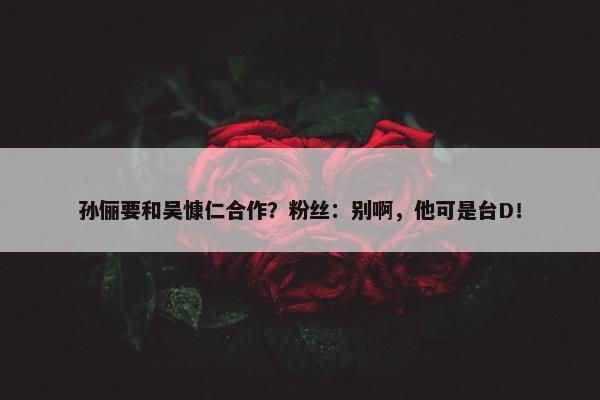 孙俪要和吴慷仁合作？粉丝：别啊，他可是台D！