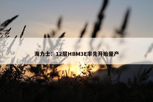 海力士：12层HBM3E率先开始量产