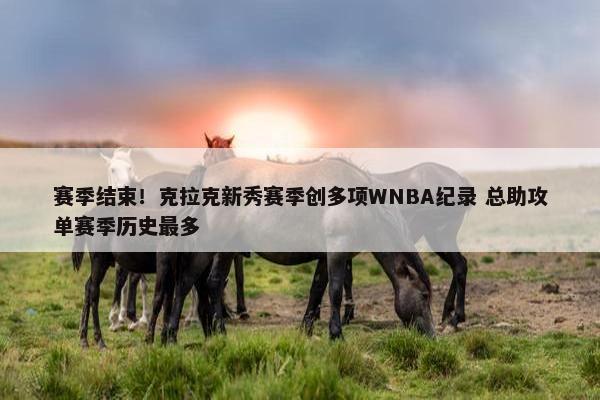 赛季结束！克拉克新秀赛季创多项WNBA纪录 总助攻单赛季历史最多