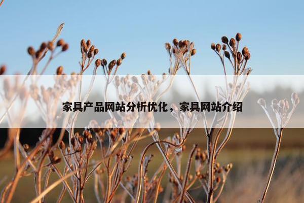 家具产品网站分析优化，家具网站介绍