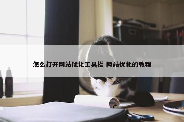 怎么打开网站优化工具栏 网站优化的教程