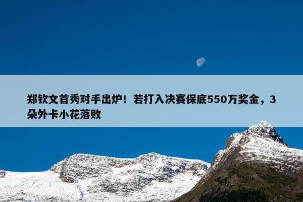 郑钦文首秀对手出炉！若打入决赛保底550万奖金，3朵外卡小花落败