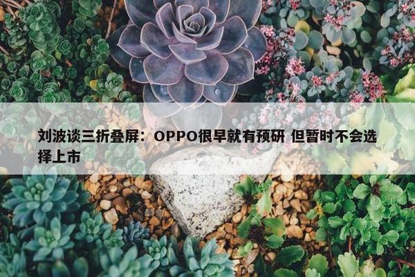 刘波谈三折叠屏：OPPO很早就有预研 但暂时不会选择上市