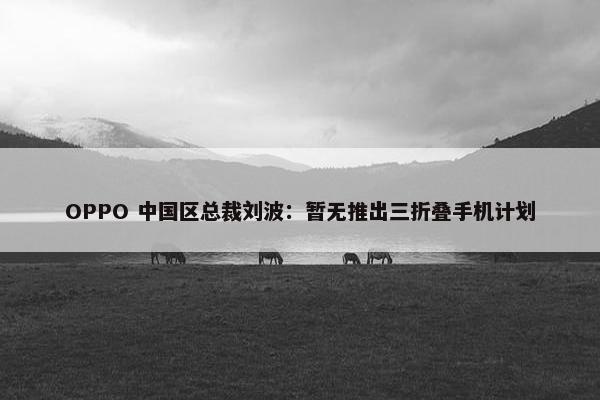 OPPO 中国区总裁刘波：暂无推出三折叠手机计划