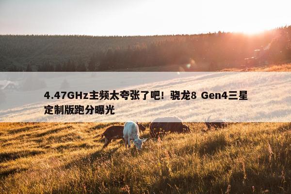 4.47GHz主频太夸张了吧！骁龙8 Gen4三星定制版跑分曝光