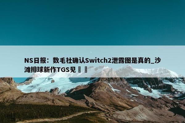 NS日报：数毛社确认Switch2泄露图是真的_沙滩排球新作TGS见​​