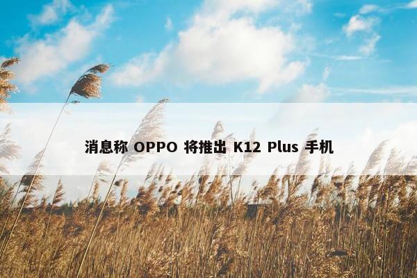 消息称 OPPO 将推出 K12 Plus 手机