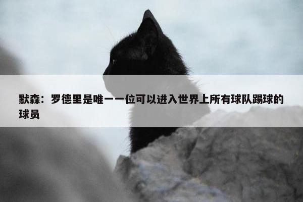 默森：罗德里是唯一一位可以进入世界上所有球队踢球的球员