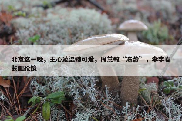 北京这一晚，王心凌温婉可爱，周慧敏“冻龄”，李宇春长腿抢镜