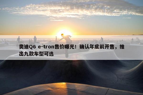 奥迪Q6 e-tron售价曝光！确认年底前开售，推出九款车型可选