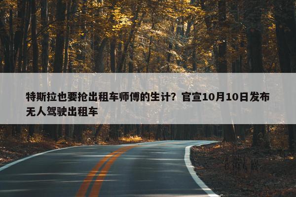 特斯拉也要抢出租车师傅的生计？官宣10月10日发布无人驾驶出租车