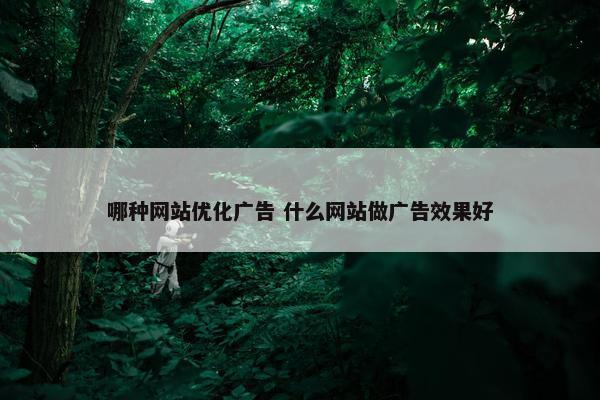 哪种网站优化广告 什么网站做广告效果好