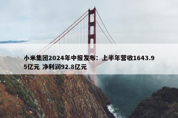 小米集团2024年中报发布：上半年营收1643.95亿元 净利润92.8亿元