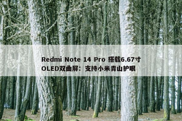 Redmi Note 14 Pro 搭载6.67寸OLED双曲屏：支持小米青山护眼