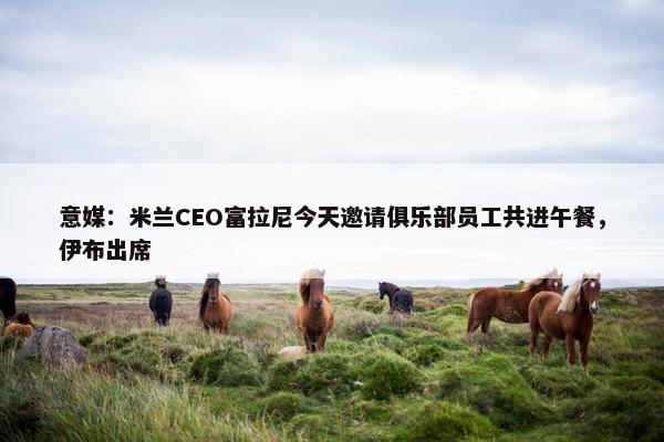 意媒：米兰CEO富拉尼今天邀请俱乐部员工共进午餐，伊布出席