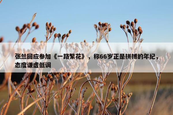 张兰回应参加《一路繁花》，称66岁正是拼搏的年纪，态度谦虚低调