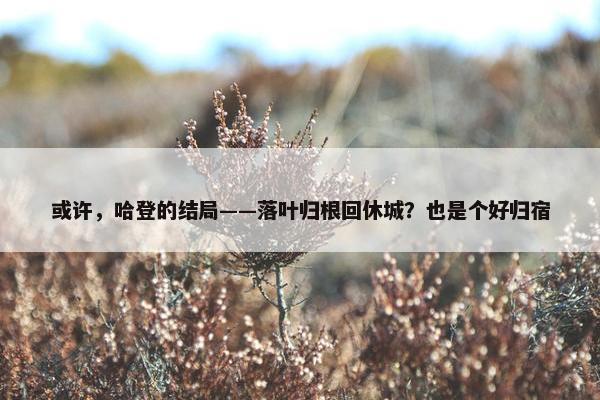 或许，哈登的结局——落叶归根回休城？也是个好归宿