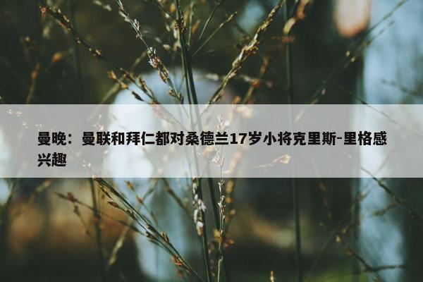 曼晚：曼联和拜仁都对桑德兰17岁小将克里斯-里格感兴趣