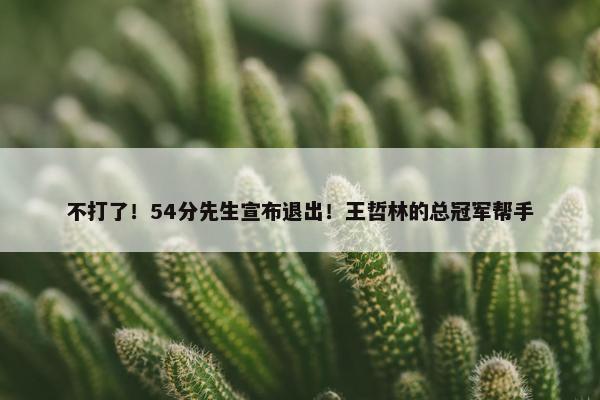 不打了！54分先生宣布退出！王哲林的总冠军帮手