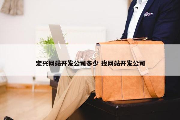 定兴网站开发公司多少 找网站开发公司