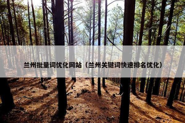 兰州批量词优化网站（兰州关键词快速排名优化）