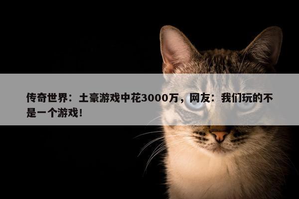 传奇世界：土豪游戏中花3000万，网友：我们玩的不是一个游戏！