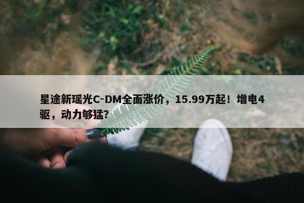 星途新瑶光C-DM全面涨价，15.99万起！增电4驱，动力够猛？