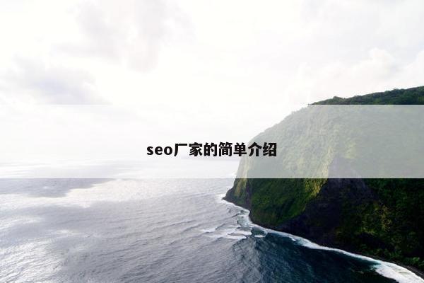 seo厂家的简单介绍