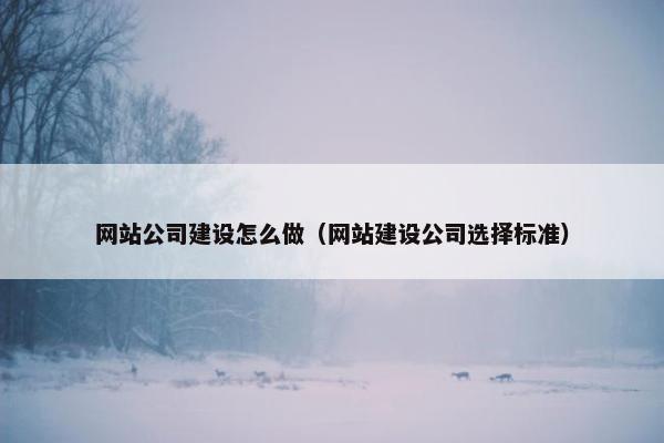 网站公司建设怎么做（网站建设公司选择标准）