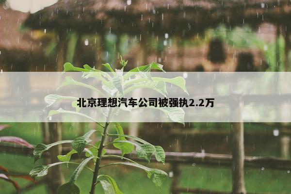 北京理想汽车公司被强执2.2万