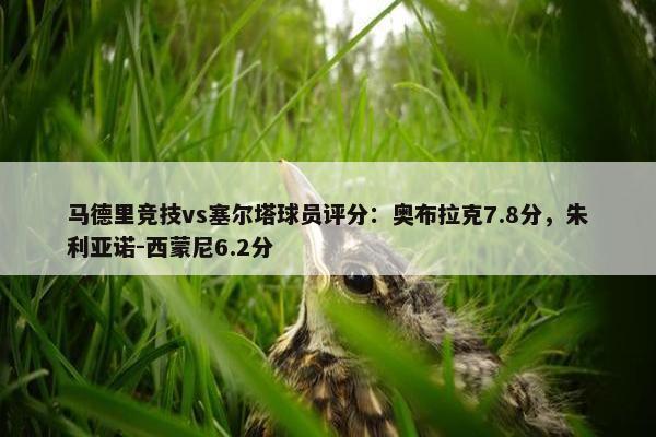 马德里竞技vs塞尔塔球员评分：奥布拉克7.8分，朱利亚诺-西蒙尼6.2分