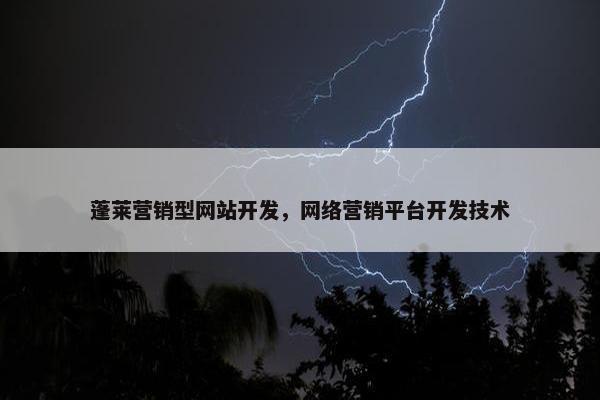 蓬莱营销型网站开发，网络营销平台开发技术