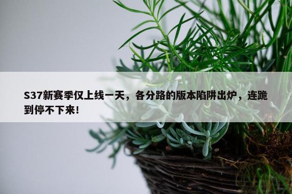 S37新赛季仅上线一天，各分路的版本陷阱出炉，连跪到停不下来！