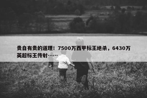 贵自有贵的道理！7500万西甲标王绝杀，6430万英超标王传射……