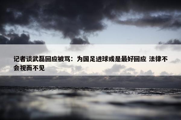 记者谈武磊回应被骂：为国足进球或是最好回应 法律不会视而不见