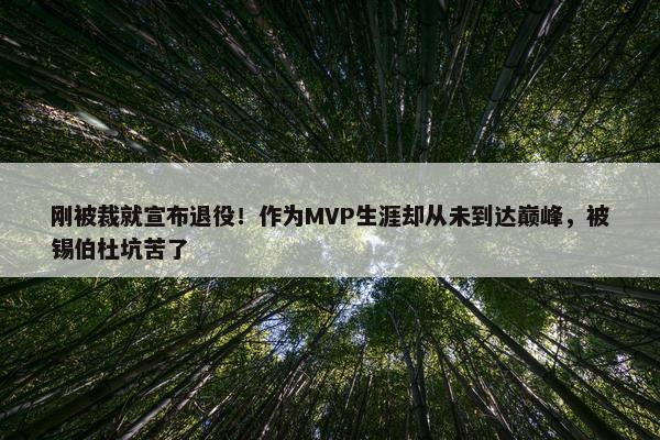 刚被裁就宣布退役！作为MVP生涯却从未到达巅峰，被锡伯杜坑苦了