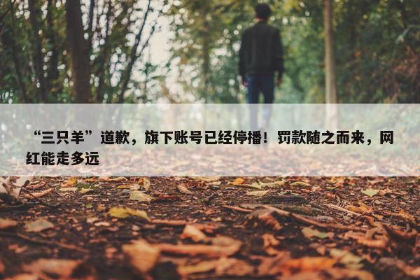 “三只羊”道歉，旗下账号已经停播！罚款随之而来，网红能走多远