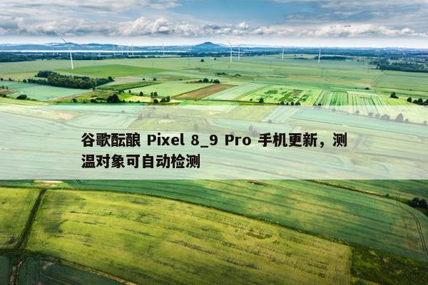 谷歌酝酿 Pixel 8_9 Pro 手机更新，测温对象可自动检测