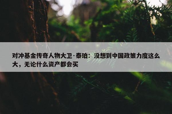 对冲基金传奇人物大卫·泰珀：没想到中国政策力度这么大，无论什么资产都会买