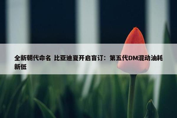 全新朝代命名 比亚迪夏开启盲订：第五代DM混动油耗新低