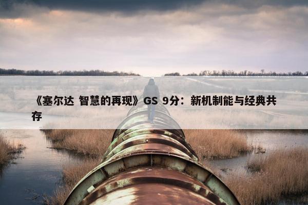 《塞尔达 智慧的再现》GS 9分：新机制能与经典共存