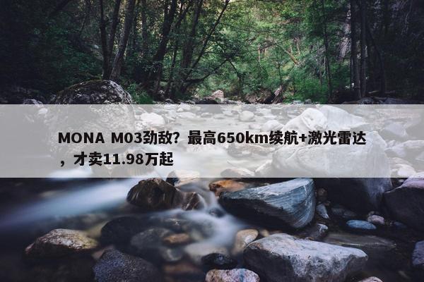 MONA M03劲敌？最高650km续航+激光雷达，才卖11.98万起